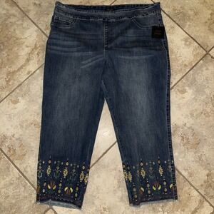 JOHN MARK Womens Jeans Pull On Embroidered Beaded Frayed Hem Cropped Sz. 16W NWT